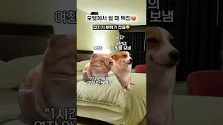 모텔에서 쉴 때 특징ㅋㅋ