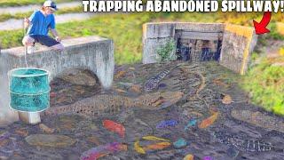 Trapping Aquarium Fish in ABANDONED SPILLWAY!