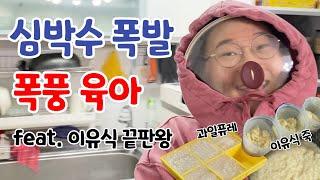 저세상 텐션 엄마의 폭풍 육아일상 아기와 함께하는 육아브이로그 feat. 이유식 만들기 달인