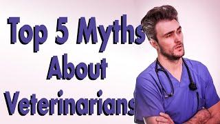 Top 5 Myths About Veterinarians - Dr Ross