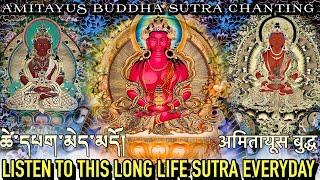 ️Listen To This Powerful Long Life Sutra Everyday|ཚེ་དཔག་མེད| Longevity Sutra-Amitayus Buddha Daily