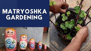 Matryoshka Gardening Technique | For Beginner Gardeners