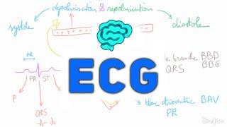  L' ECG Expliqué Très Clairement par Dr Astuce