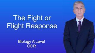 A Level Biology Revision (Year 13) "The Fight or Flight Response"