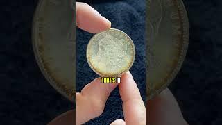 I Just Bought a Full Set of Morgan Silver Dollars