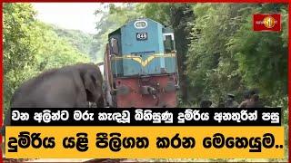 දුම්රිය යළි පීලිගත කරන මෙහෙයුම.. | Train get back to track after derailed