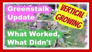 Greenstalk Update Vertical Growing - What Worked and What Didn't