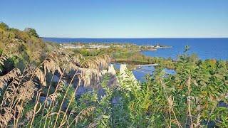 Hiking along The Bluffs in Toronto - Trải nghiệm trên đỉnh cao The Bluffs ở Toronto