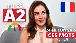 Tu es niveau A2 en français si tu connais ces mots | DELF A2