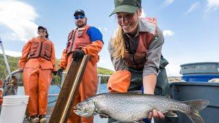 Native Fish Conservation in Yellowstone National Park