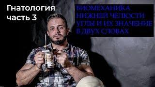 ГНАТОЛОГИЯ часть 3 (БИОМЕХАНИКА, УГЛЫ, ИХ ЗНАЧЕНИЕ ОБЗОРНО)