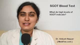 SGOT Blood Test - An Overview