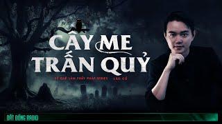 CÂY ME TRẤN QUỶ | Chuỗi truyện Về Quê Làm Thầy Pháp P5