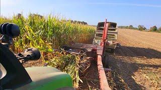 Chopping Corn Silage And Combining Beans In 2024!!!