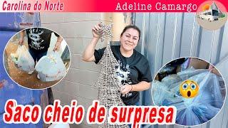 Super dumpster diving achei um saco cheio de surpresa