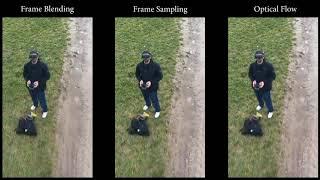 Frame blending vs frame sampling vs optical flow in Adobe Premiere Pro