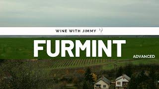 Grape Varieties - Furmint Advanced Version ideal for WSET L3 and 4