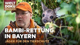 REHKITZ-RETTER AUS BAYERN: Jäger kämpfen für Bambi und den Tierschutz | WELT Doku Magazin