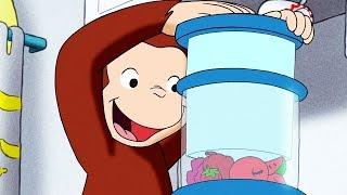 Curious George | Juicy George / The Big Picture | Full Episode | Cartoons for Children