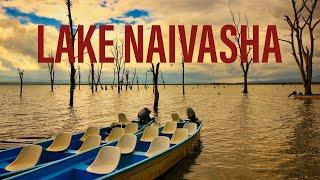 Lake Naivasha Kenya | Lake in Africa | Fresh Water Lake Rift Valley