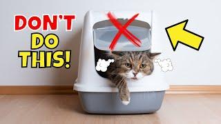 9 Common Litter Box MISTAKES (#1 is Awful) 