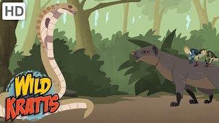 Wild Kratts - How to Take Care of Wild Animals