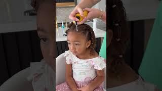 Cute lil hairstyle #hairstyle #toddlerhairstyles #girlshairstyles #toddlerhair #curlyhair