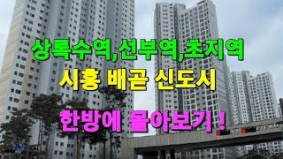 상록수역,선부역,초지역,배곧신도시~~ / 분양가보다 싼 아파트