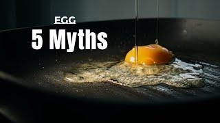 5 Common Egg Myths || Hindi || Wellness Munch || Dr. Soma Chakrabarty