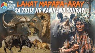 PARA SAAN ANG SUNGAY NG HAYOP | Horns in Animal Kingdom