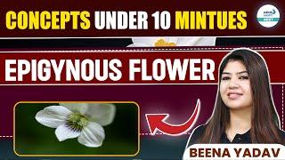 Previous NEET Questions on Epigynous Flower Explained | Quick Review | NEET 2025