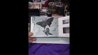 Swatching Daniel Smith Greys Pallett