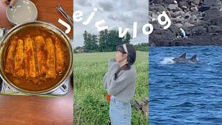 VLOG | Jeju Island Travel ep1 | Seogwipo Hotple Tour with Mom