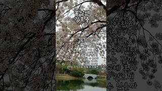 은퇴후생활 다시 봄이 찾아왔죠 #김호중 봄날에