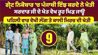 Great Nicobar 'ਚ ਪੰਜਾਬੀ ਇੰਝ ਕਰਦੇ ਨੇ ਖੇਤੀ। Punjabi In Campbell Bay । Amrik Manpreet । Walk With Turna