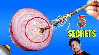 5 MIRACLES OF ONION PEELS IN GARDENING | GARDEN HACKS