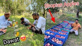 Shopian Mai Dost k Ghar Apples Utari  South Kashmir k Famous Apples || Explore South Kashmir