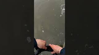 giant fish nearly pulls rod in the water