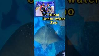 Dubai under water zoo #dubai #dubaimall #shorts #dubaimallaquarium #likebani #harbani17