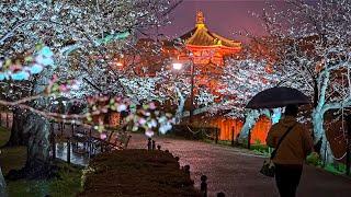 Tokyo Rainy Night Walk - Yanaka-Ginza to Ueno • 4K HDR