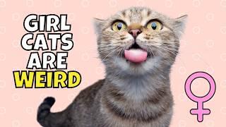 5 Super Weird Female Cat Behaviors (#3 is Loud)