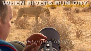 Lions on the hunt around our vehicle. Could almost touch the Lion