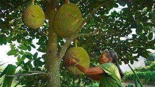 菠蘿蜜太大，阿婆和孫子抬回家，吃不完還能煮著吃｜Guangxi grandmother, with pineapple honey fruit, making food｜广西 美食 ｜玉林阿婆