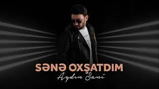 Aydın Sani - Sənə Oxşatdım | Azeri Music [OFFICIAL]