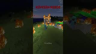 Sizin Köpeğinizi Öldürseler Ne Yapardınız? #minecraft #shorts