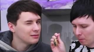 toxic baking || Phan edit
