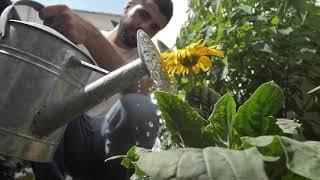 www.kissanghar.pk 1. Gardening can make you happy.