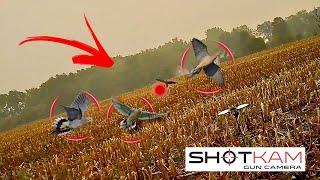 Dove Hunting Highlights - 35 Kills - with a ShotKam