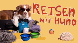 Reisen mit Hund // Tipps für das wichtigste Hundezubehör im gemeinsamen Urlaub // hundplusherz