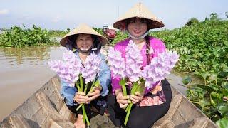 BÔNG LỤC BÌNH MÀ CHẤM MẮM KHO Ăn Rồi Nhớ Mãi Hình Bóng Quê Nhà • Toàn Miền Tây 621